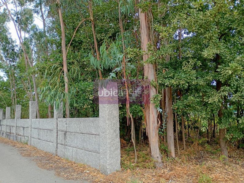 Foto 3d2e9a85-b26c-4e54-b282-e7b4deb42aff. Finca rústica a Salceda de Caselas