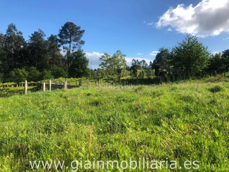 Foto 1d617b04-193c-4005-a8d6-fdfe9a5c04f7. Terreny residencial a Porriño (O)