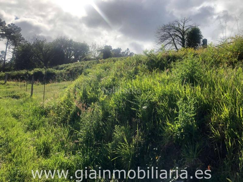 Foto 3571c915-652b-4099-9185-0aed7b5755d1. Terreny residencial a Porriño (O)