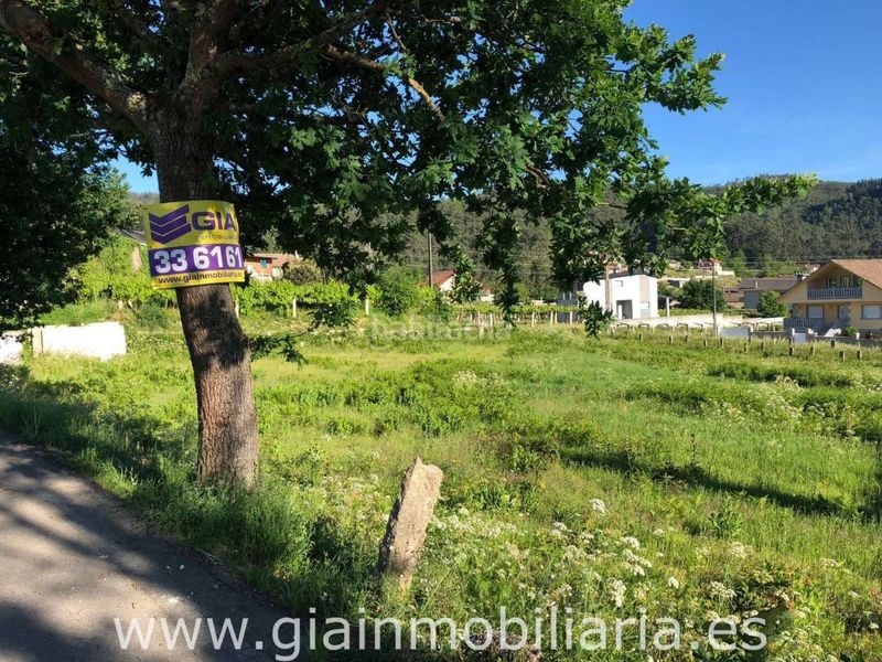 Foto f91cca17-1e43-4e43-8a2e-cc8da76ede74. Finca rústica a Porriño (O)