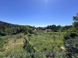 Finca rústica  Graña. Terreno en venta en a granxa