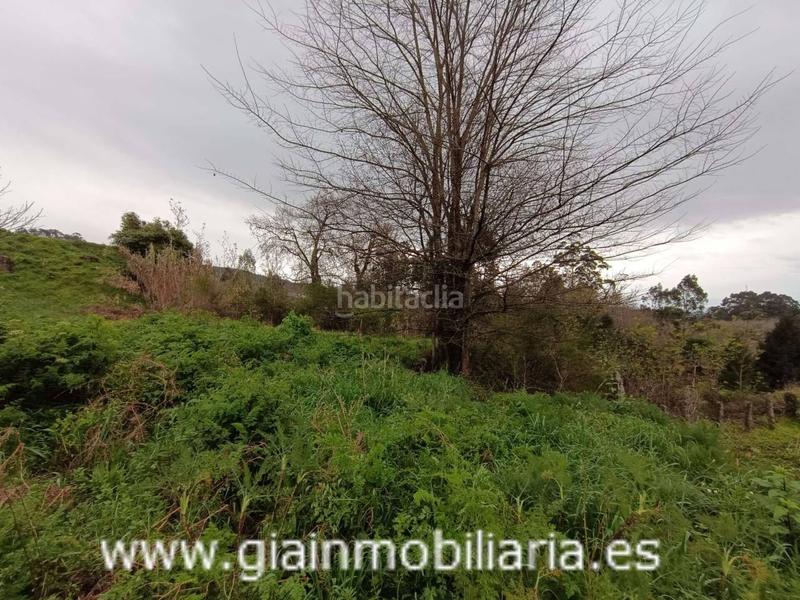 Foto 60a550ce-a83d-4d36-9d2c-1d3099c8dd3a. Finca rústica a Mondariz
