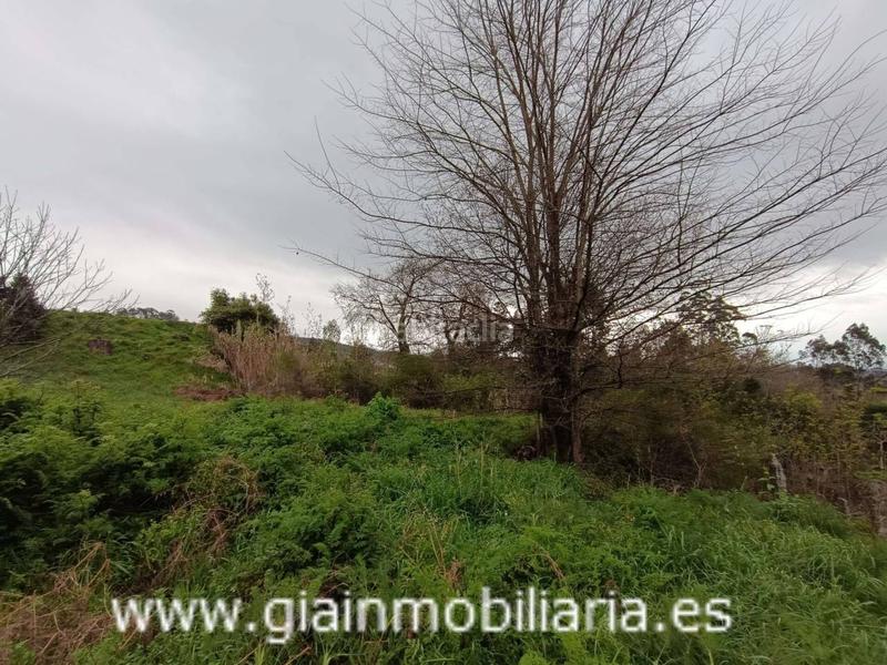 Foto c821c6eb-246d-47e1-bded-5ddf39a0075f. Finca rústica a Mondariz