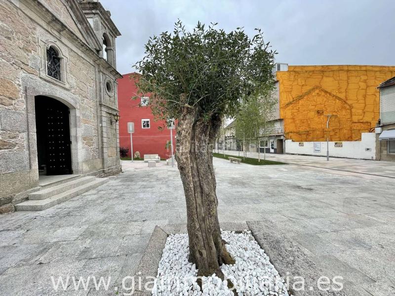 Foto 9c7bc4f2-3568-46fb-b569-199ac164f870. Fondo rustico in manuel rodriguez 64 in Porriño (O)