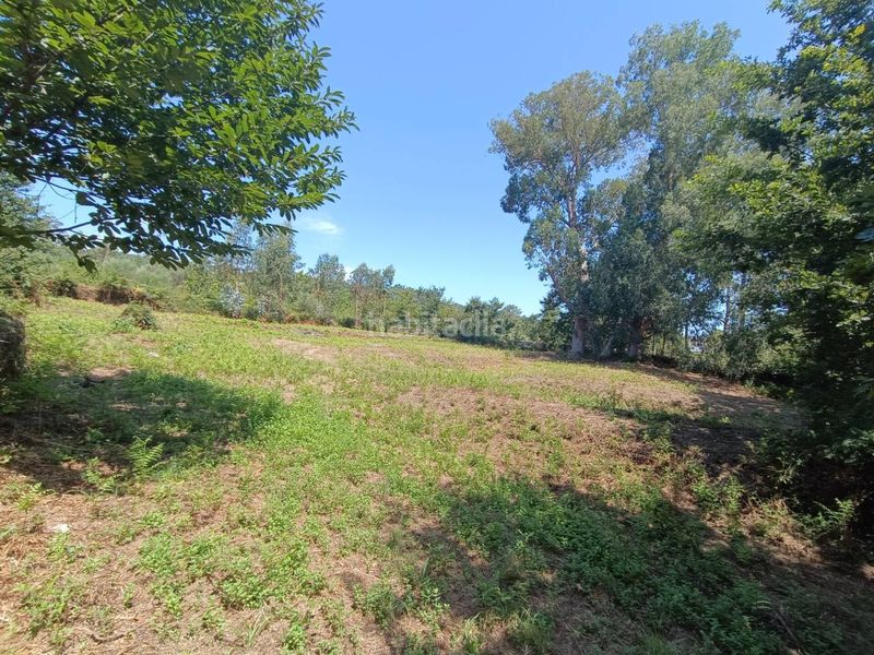 Foto 05b43e76-2e95-4d49-852b-aa0ec3b03085. Residential plot in Mondariz
