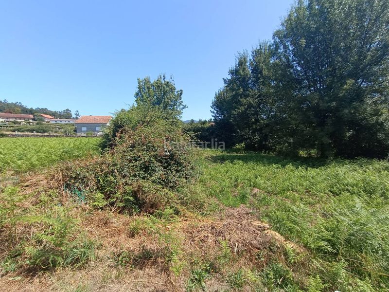 Foto 4e00372b-e365-4749-8330-f0388bbfc805. Residential plot in Mondariz