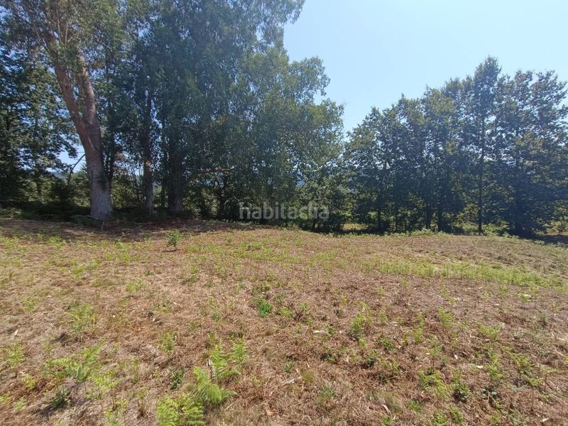 Foto 93d31deb-30ce-4696-b8f1-f19be2eed81a. Residential plot in Mondariz