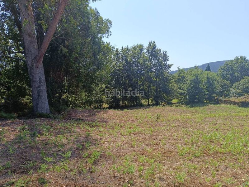 Foto c7aa24c1-5ca5-4ec3-b416-22e7c09dfdcb. Residential plot in Mondariz
