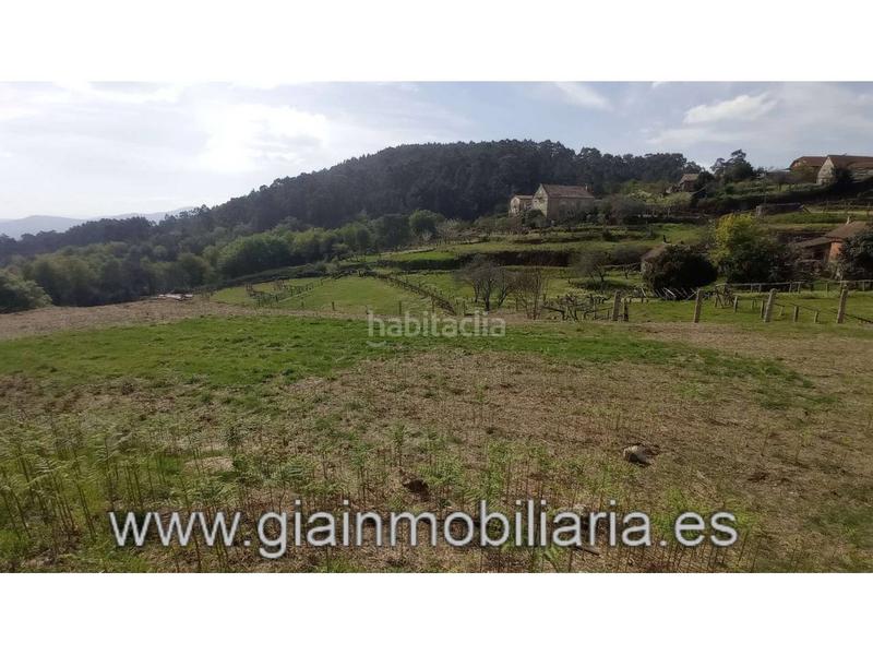 Foto 134c1aa9-8c99-4b3f-b1ff-6309738937cc. Finca rústica a Mondariz