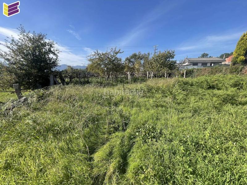 Foto 27eb1ac5-e0ad-4923-8dc2-84b5492d2d1c. Fondo rustico in Porriño (O)