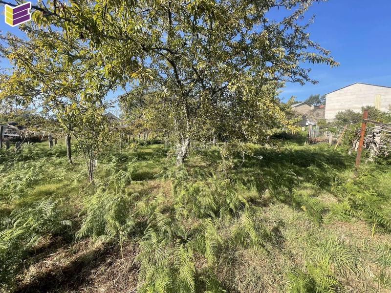 Foto 2d7b4e80-38b0-444f-bb5a-280aeadf2c13. Fondo rustico in Porriño (O)