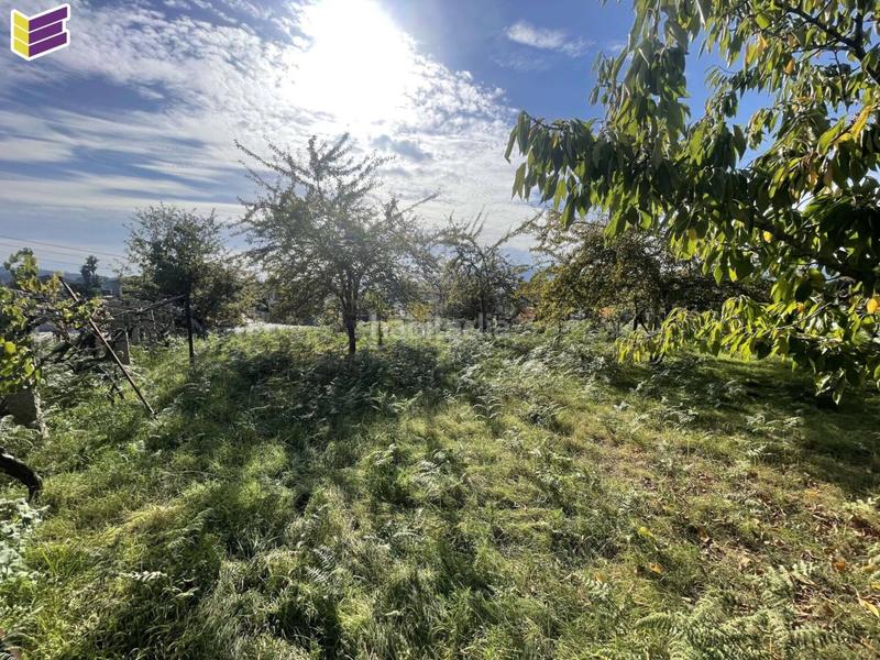 Foto 45029f1a-1b55-4c67-904e-939dd84bcbe1. Fondo rustico in Porriño (O)