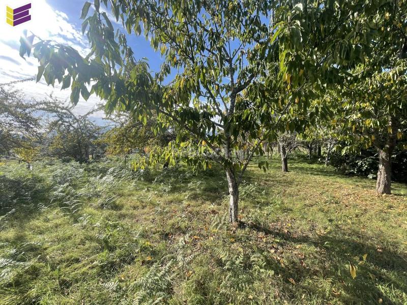 Foto 608c8ae9-ae47-4d56-aac6-9bce77d20d3c. Fondo rustico in Porriño (O)