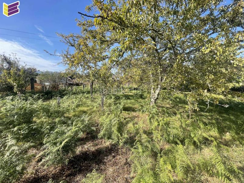 Foto 7af52c83-63ce-400c-940f-9f865ba668b1. Fondo rustico in Porriño (O)