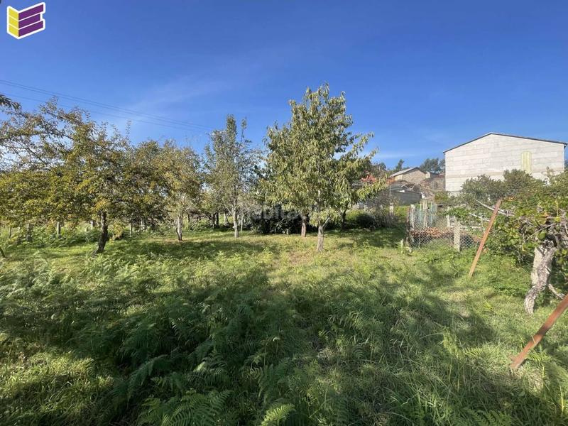 Foto 8a46157c-b00c-46a9-ac2f-7adfa0fe5a60. Fondo rustico in Porriño (O)