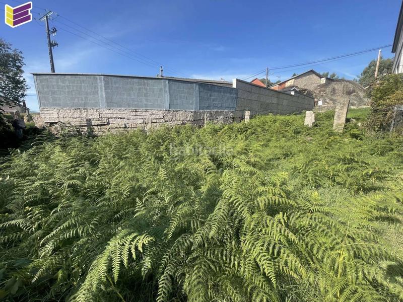 Foto f756268e-5b10-476b-b51c-a03f676aadcd. Fondo rustico in Porriño (O)