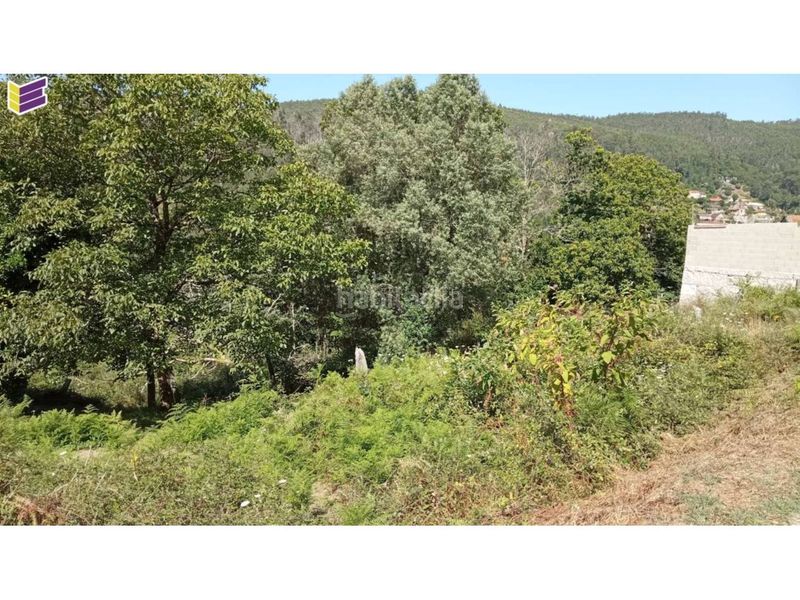 Foto aedac2ad-2338-4731-b4ef-227f5ccab510. Finca rústica a Salceda de Caselas