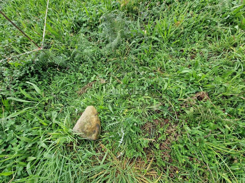 Foto f1fc8180-029e-4739-91bb-0a3ce2fca6b3. Terreno residenziale in Arteixo pueblo Arteixo