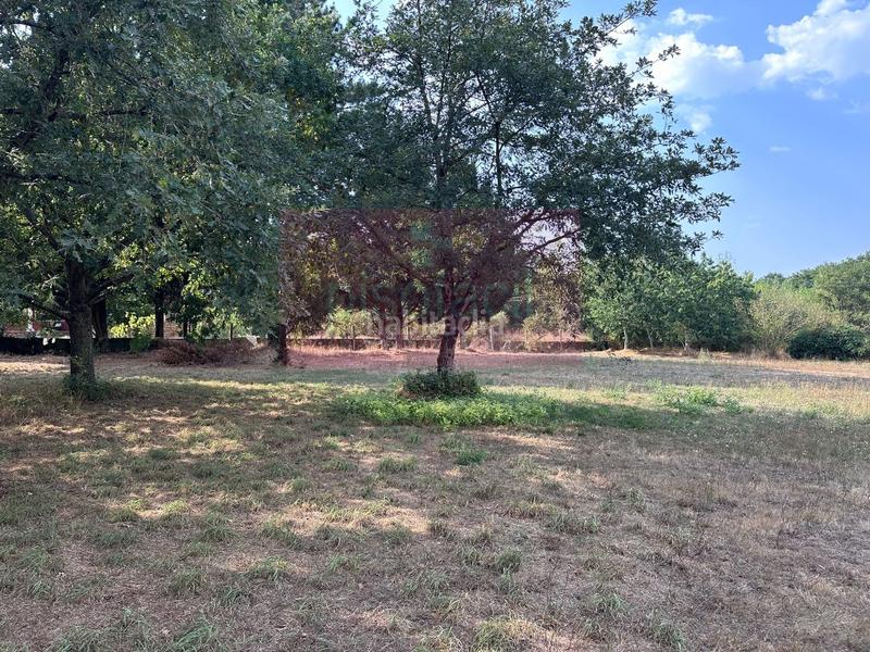 Foto 53200df9-4c76-429d-adb9-5457a8f6c17c. Terreno residenziale in Corgo (O)