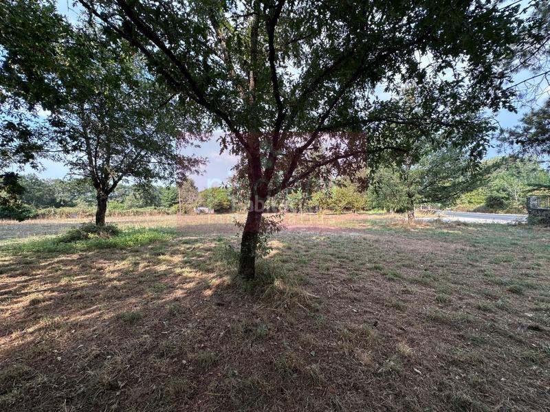 Foto a7c927b6-da53-4887-ac85-da004d9c6040. Terreno residenziale in Corgo (O)