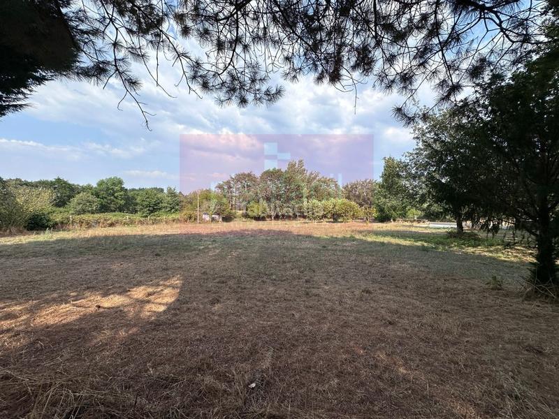 Foto ec6d8a1c-e34c-47de-a19d-4eea037a7728. Terreno residenziale in Corgo (O)