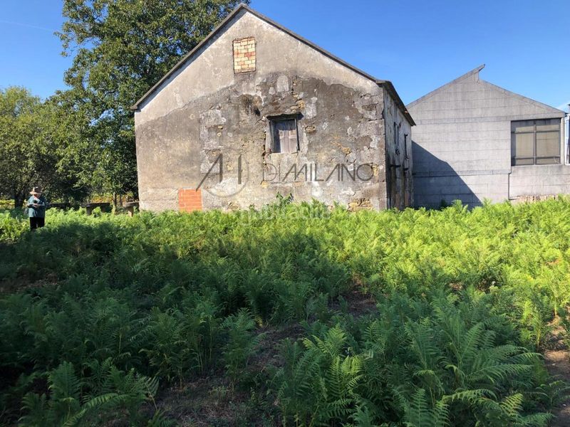 Foto 669721f9-5345-40ae-8a00-f34c05727169. Maison dans Mos