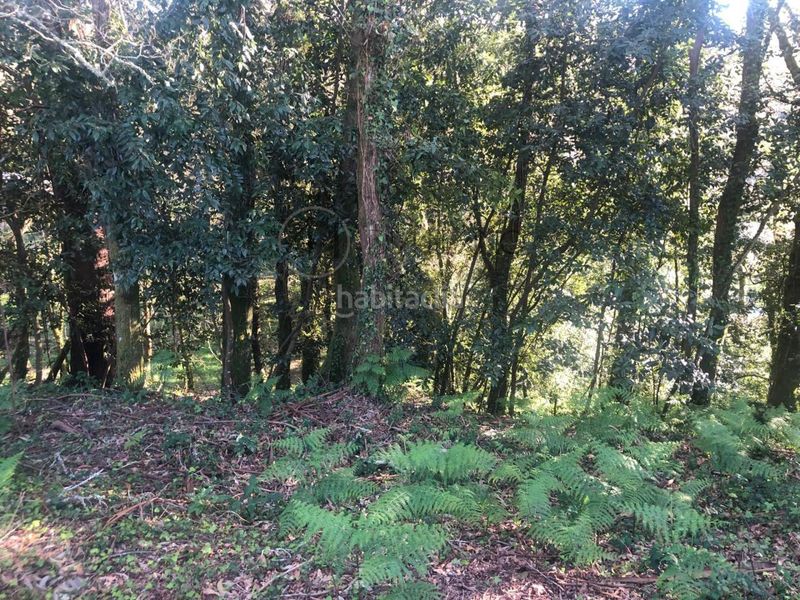 Foto fcf0e2a7-bfc6-4592-9a30-ec5037089e1d. Terreny residencial a Gondomar