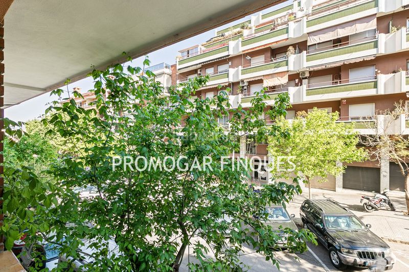 Foto 091c5bc5-cdd6-454c-9982-5c2aac0e7cda. Pis a Roses-Castellbell Sant Feliu de Llobregat