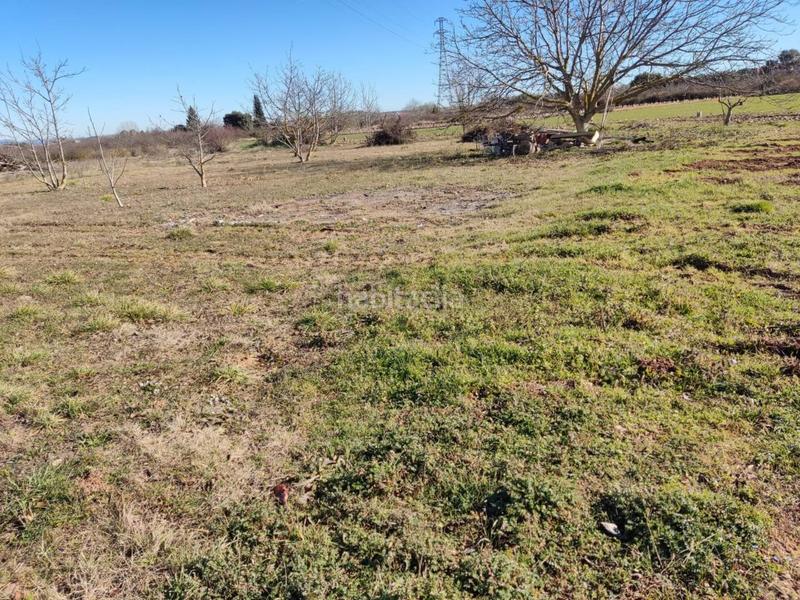 Foto 03ffb596-c0d4-4592-b535-065dd03824a6. Fondo rustico in Lardero