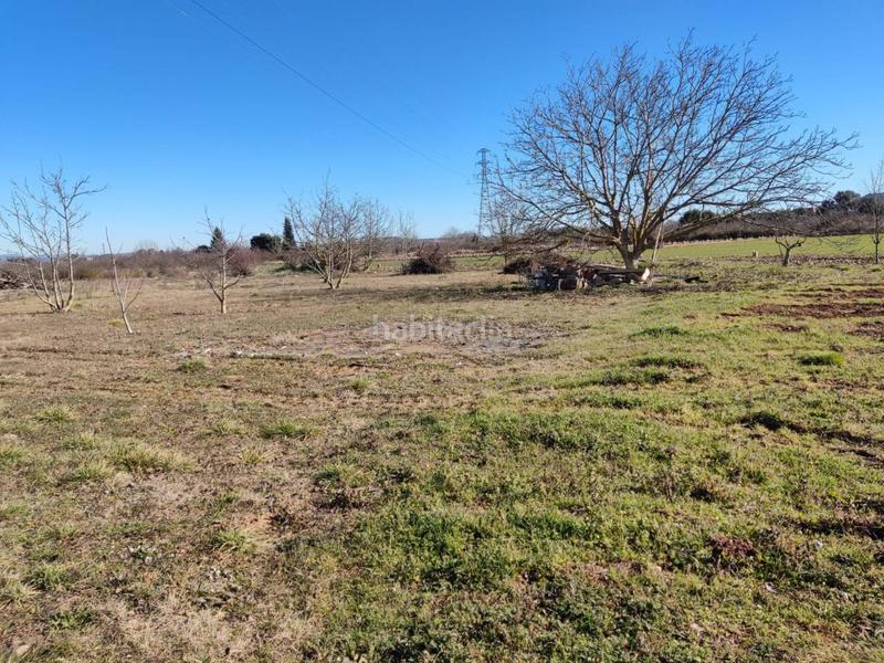 Foto f7b1319f-0641-4caf-a1ed-746e91dbf650. Fondo rustico in Lardero