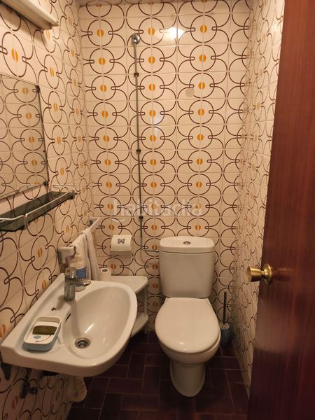 Foto d7ab58df-8f57-4980-be5f-a7dc266c5c2d. Pis a Pinar - Anaka - Belaskoenea Irun