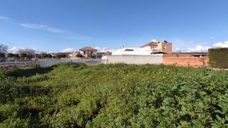 Finca rústica en Carpio (El). Terreno en venta en san antonio el carpio
