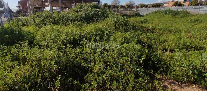 Foto 279653d4-63a3-44bd-81e4-bdd2230657e9. Finca rústica a Carpio (El)
