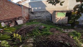 Casa a Carpio (El). Casa de planta baja en el carpio para adecuar!