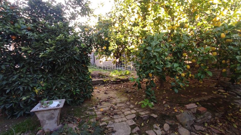 Foto 6b75bba7-ec13-40c9-81a6-5452320249b7. Casa a Carpio (El)