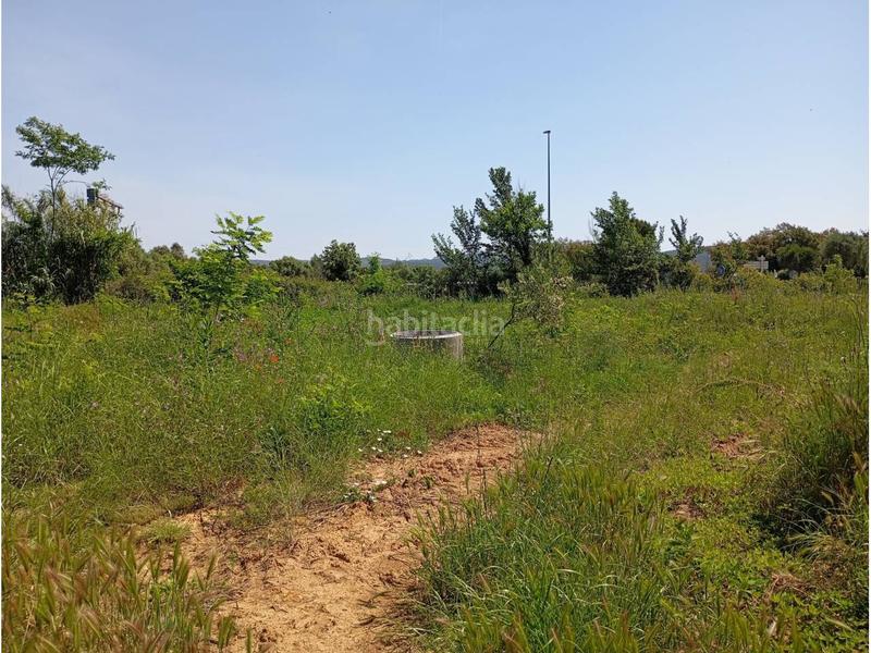 Foto 5ca4cd72-4e14-46b9-996c-ab3f642b344b. Casale con riscaldamento parcheggio in Llofriu