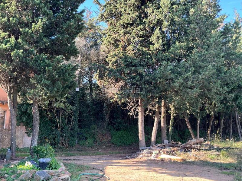 Foto a9095c7d-cbe6-4b93-b7ea-5acaa992c132. Casale con riscaldamento parcheggio in Llofriu