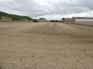Residential Plot in Berbinzana