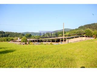 Rural plot  Olaberria barrio izq.. Terreno en venta en irun  olaberria