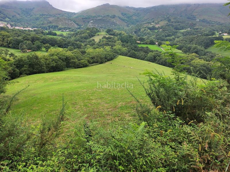 Foto 3582c9e4-b1aa-4d77-8f83-de1d4b0f7fa8. Terrain résidentiel dans Zugarramurdi