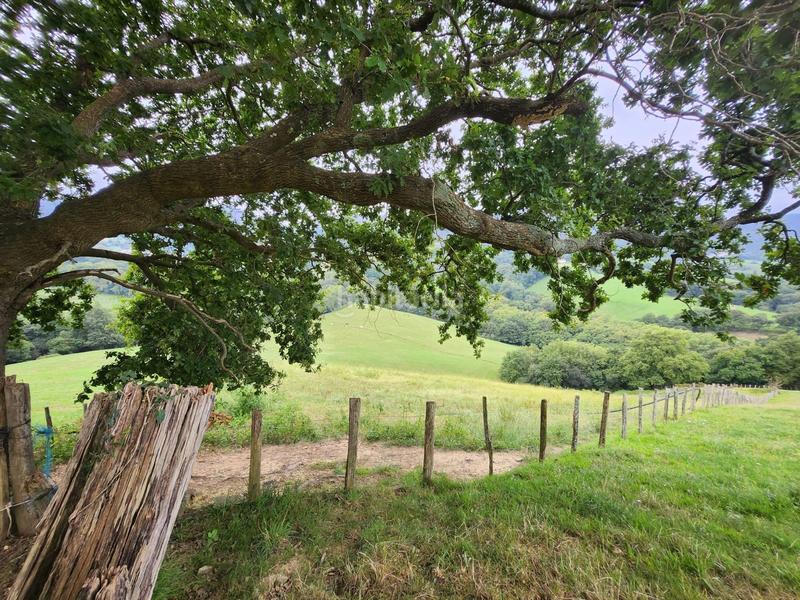 Foto f21ec5a6-c53c-4004-b6aa-cb329f950360. Terrain résidentiel dans Zugarramurdi