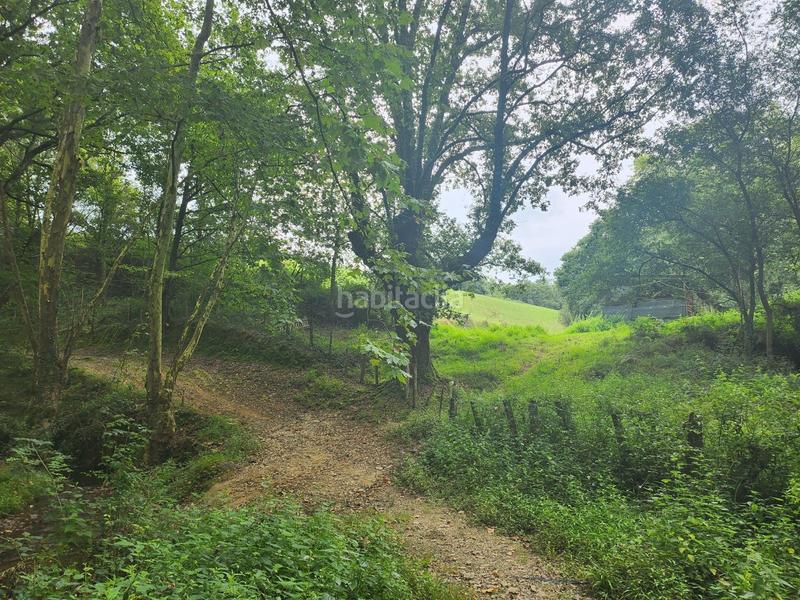 Foto 12f8728c-ced9-4604-bdb7-ae9e827f866e. Finca rústica a Zugarramurdi