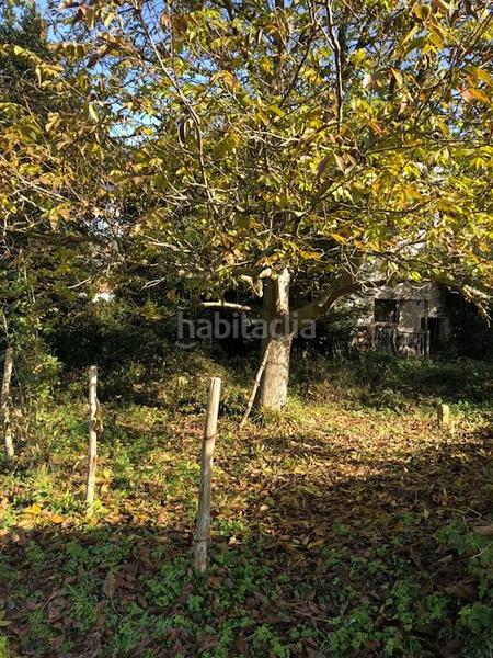 Foto a6df96b5-d4b6-4cab-99ca-e4ce02ca7f5c. Casa  de 4 viviendas en Ezkio - Itsaso