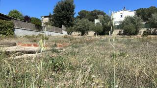 Terreno residenziale in Palmera 5