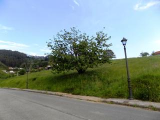 Terreny residencial a Candamo. Parcelas urbanizables, en san román de candamo, asturias