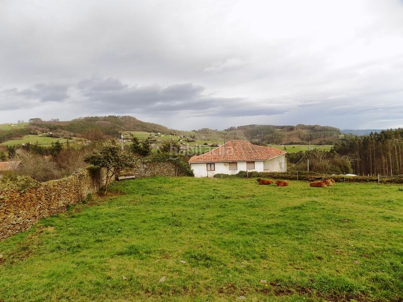 Foto 76ce1b19-1688-4f27-bef0-0b96896f78b1. Masía casa de pueblo en loro,. en Pravia