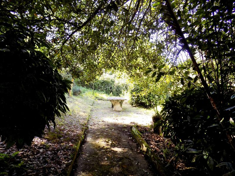 Foto ee9cbb0f-4b9b-4b73-9bb7-b3ee370c9c35. Casa amb calefacció a Cudillero