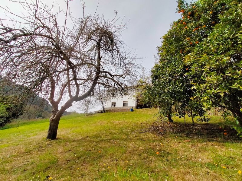 Foto cc8bf677-ecaa-4128-8225-ca045866d9be. Terreny residencial a Candamo