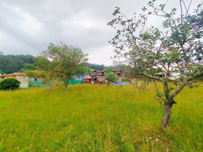 Foto 61216d5e-b9d1-4efc-a658-6352335eb687. Masia a Pravia