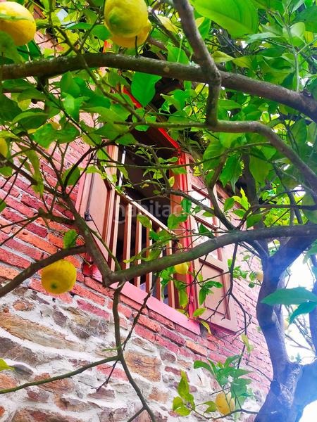 Foto be63b652-1f33-4a61-8edb-67557f4a619b. Masia a Pravia